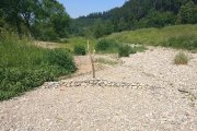 Ausflug an die Dreisam